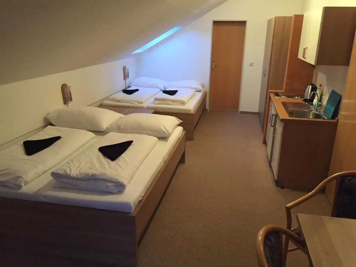 Apartmány Sporthotel Mitterdorf Philippsreut Německo